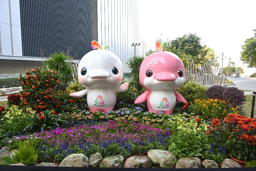 持票人手持, 在国际赛事, inews 持票人手持, 在国际赛事, inews