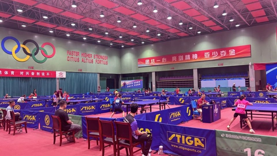 举办各项国 举办各项国